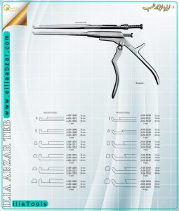 maghz-4