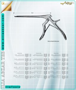 maghz-5