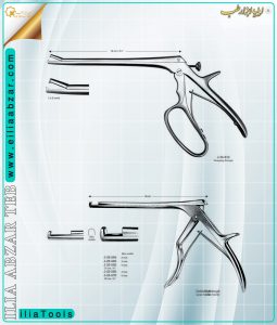 maghz-7