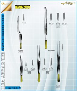 pans-1