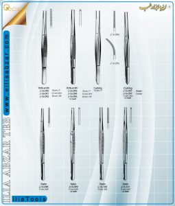 pans-12