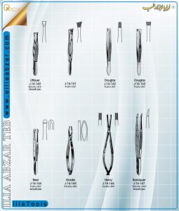 pans-5